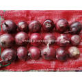 Good Quality Red Onion 2020